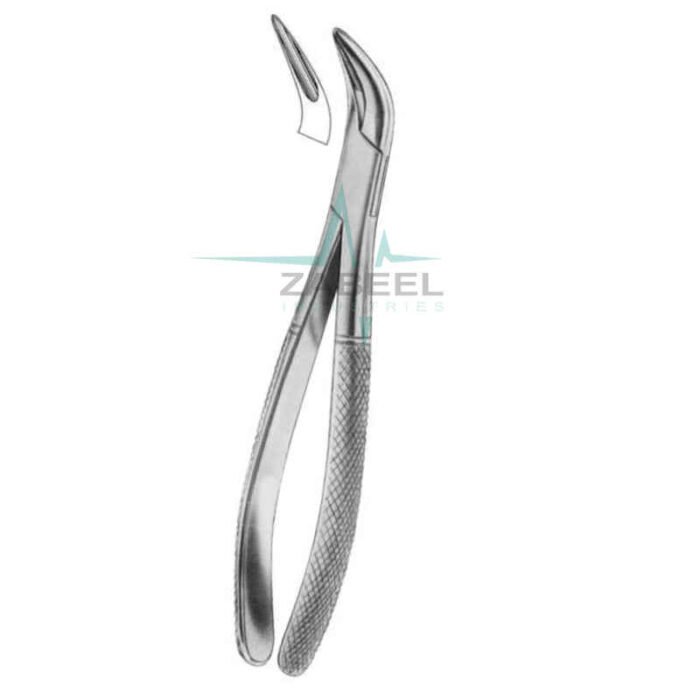 Lower Root Elevators Zabeel