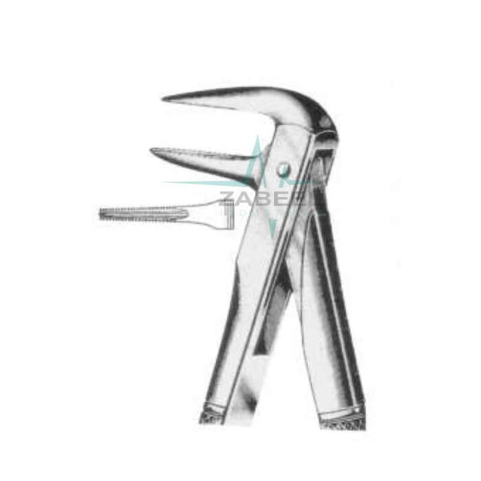 Lower Root (Parallel Beaks) Forceps Zabeel