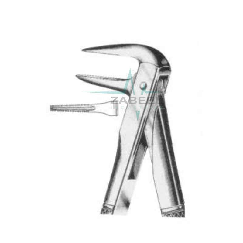 Lower Root (Parallel Beaks) Forceps Zabeel