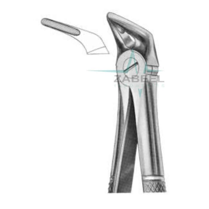 Lower Roots Forceps Zabeel
