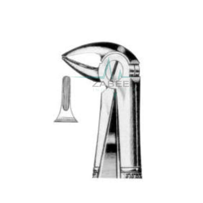 Lower Roots Forceps Fig.33C Zabeel