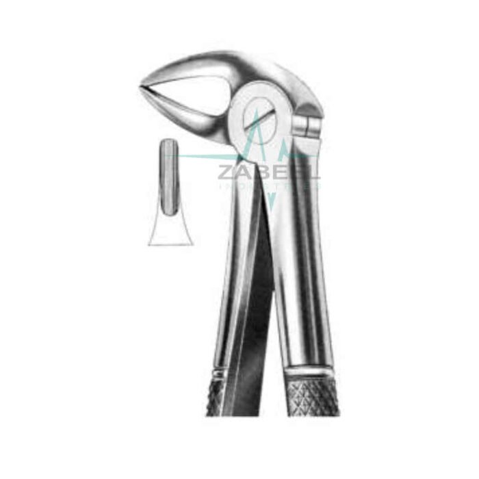 Lower Roots Forceps Fig.MD 2 Zabeel