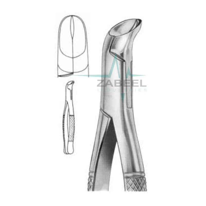 Lower Third Molars Forceps Zabeel