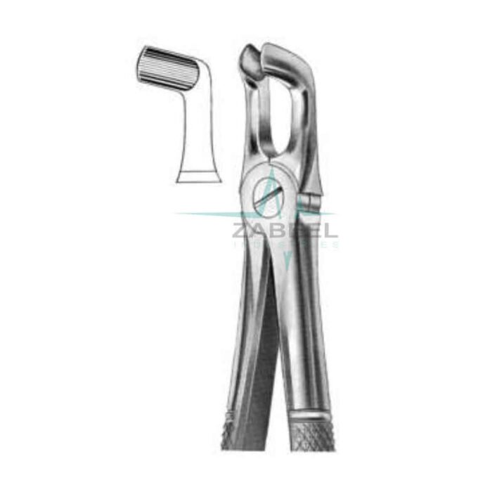 Lower Wisdoms Fig.79A Zabeel