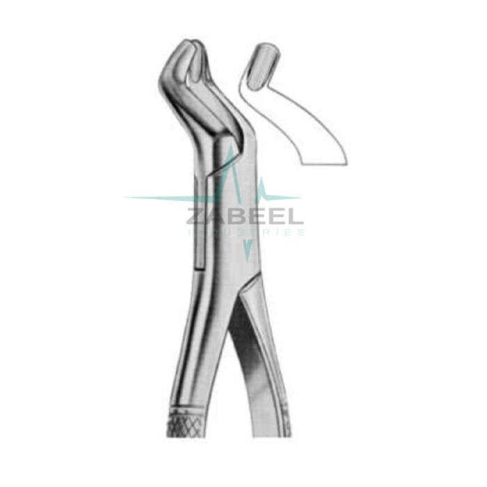 Lower Wisdoms Forceps Zabeel