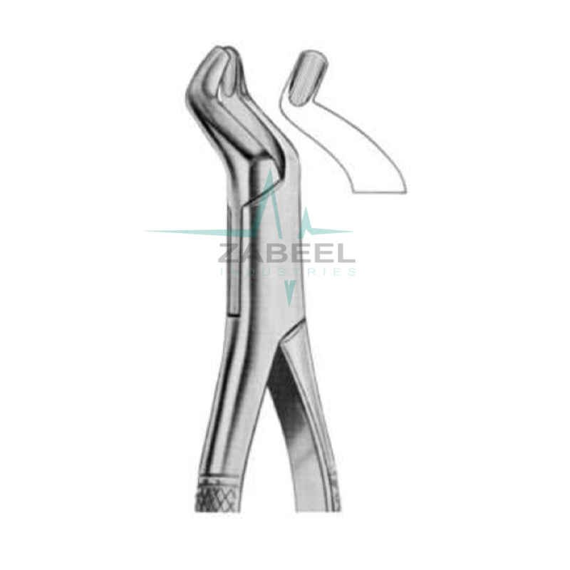 Lower Wisdoms Forceps Zabeel