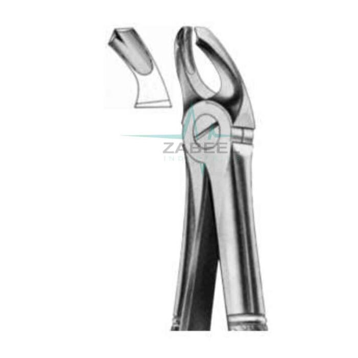 Lower Wisdoms Forceps Zabeel