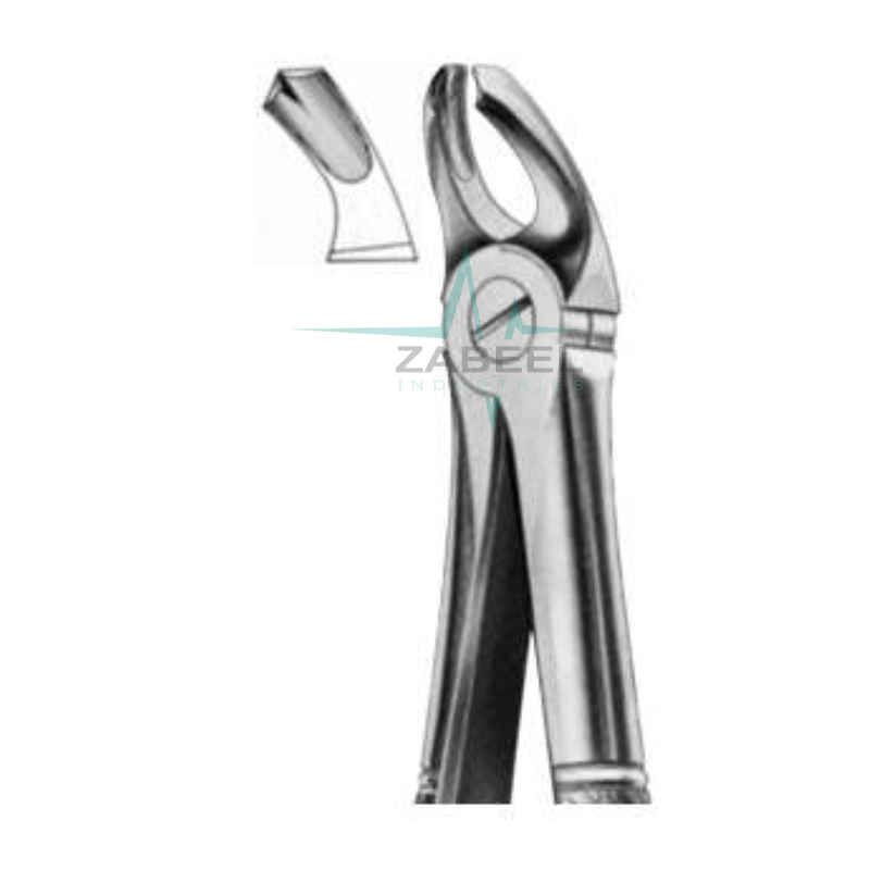 Lower Wisdoms Forceps Zabeel