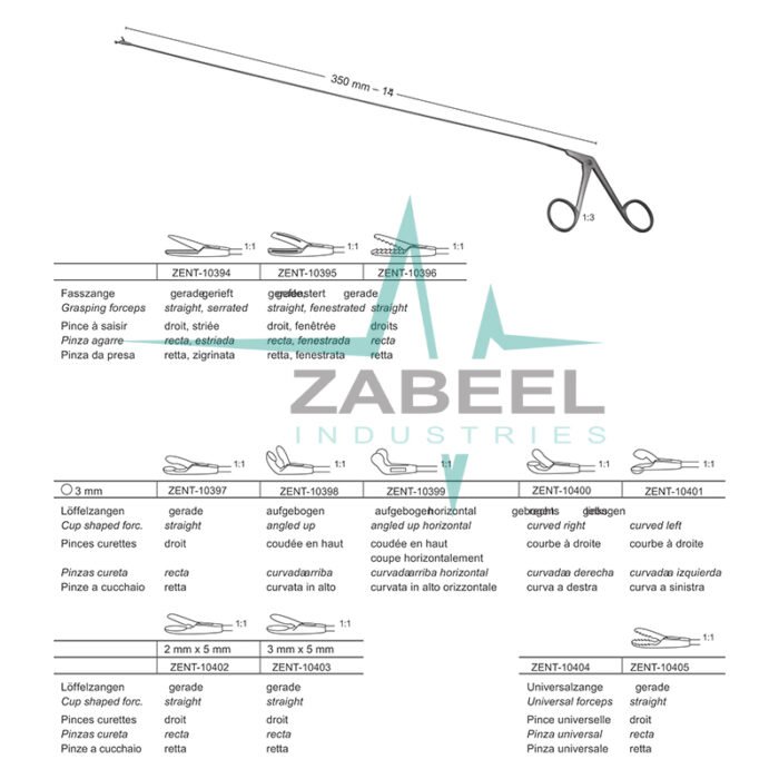 Laryngo-Broncho-Esophagoscopy