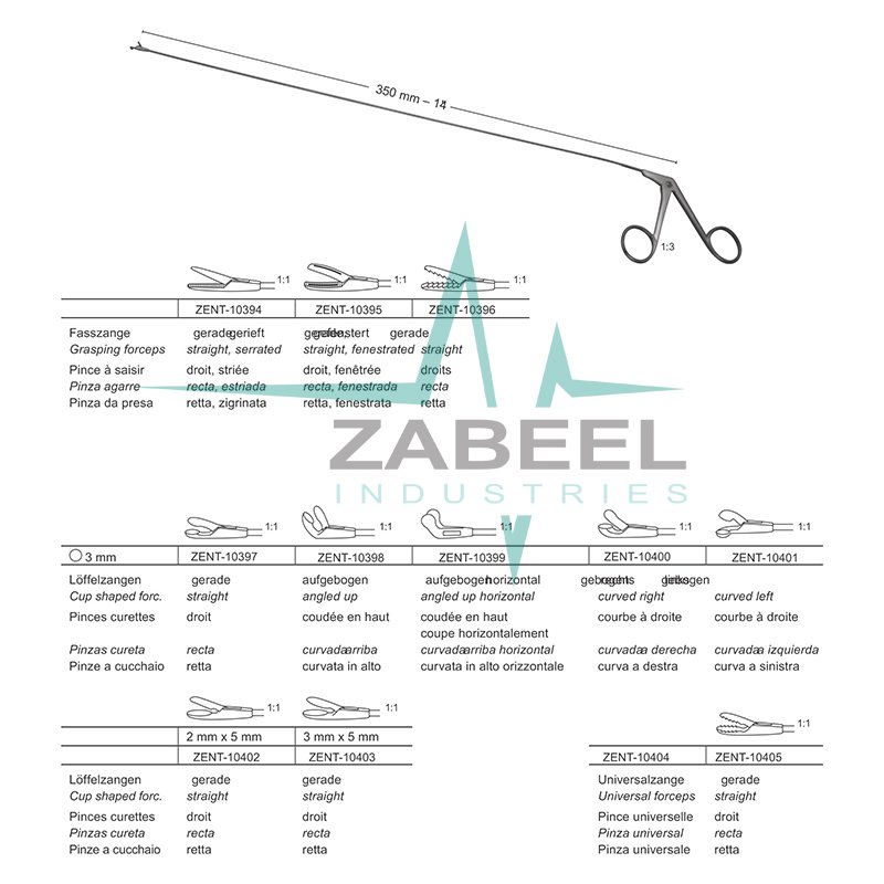 Laryngo-Broncho-Esophagoscopy