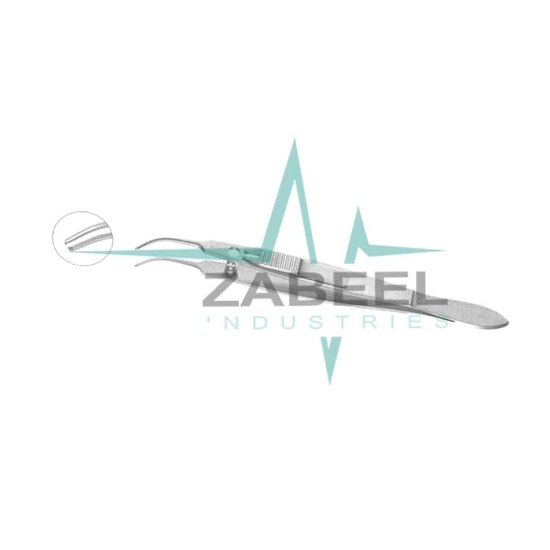 Moody Fixation Forceps ZaBeel