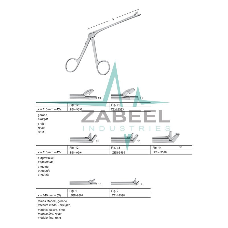 Nasal Cutting Forceps Zabeel