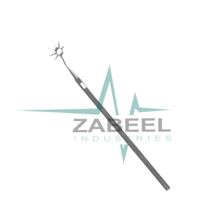 Osher Neuman Corneal Marker ZaBeel