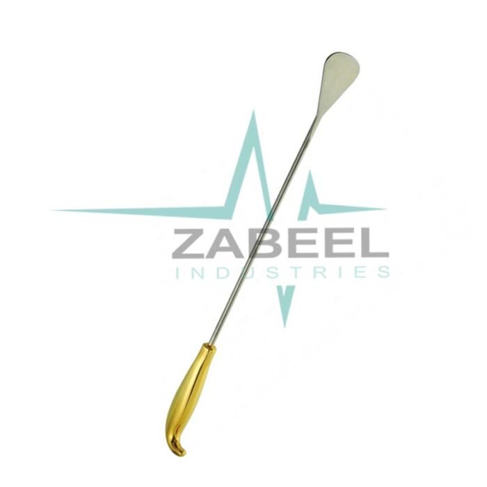 Oval Spatulated Blades