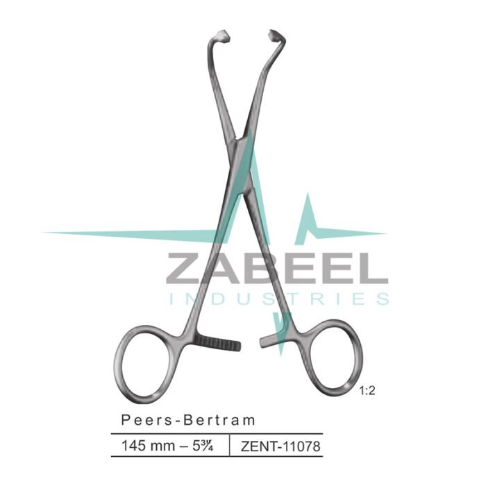 Peers Bertram Towel Forceps Zabeel
