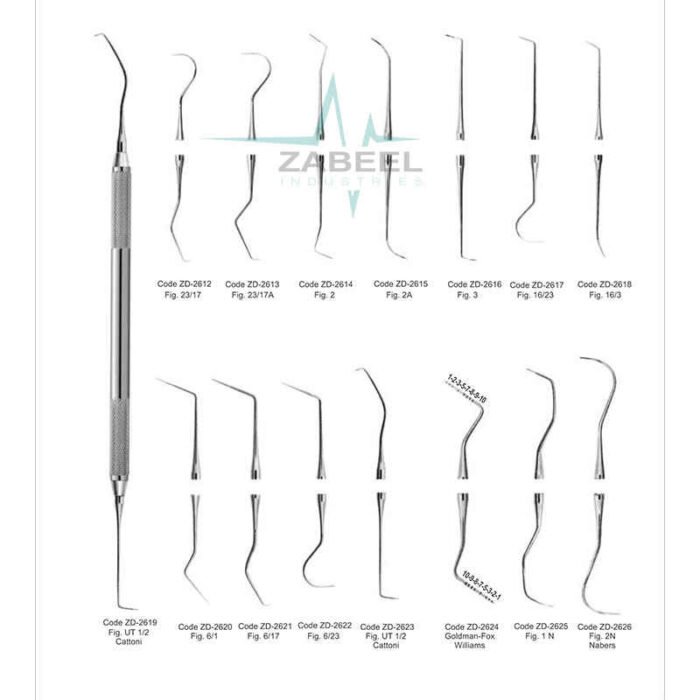 Probes Instruments Zabeel