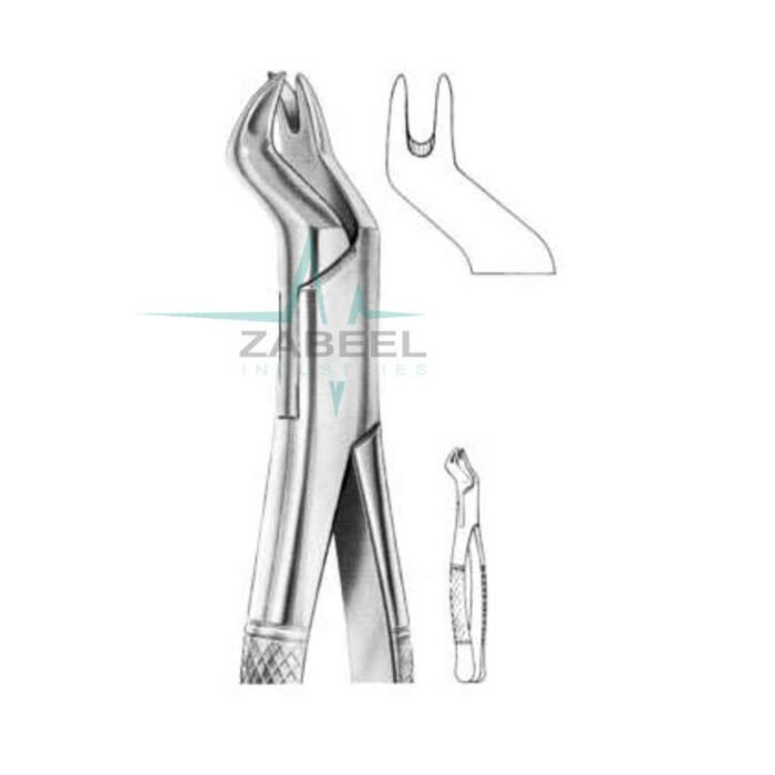 Right Upper Molars Forceps Zabeel