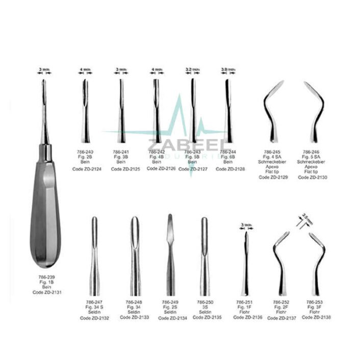 Root Elevators Zabeel