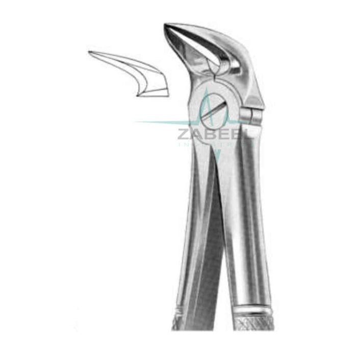 Separating lower Molars Roots Zabeel