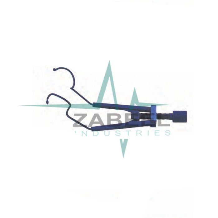 Shapira Speculum ZaBeel