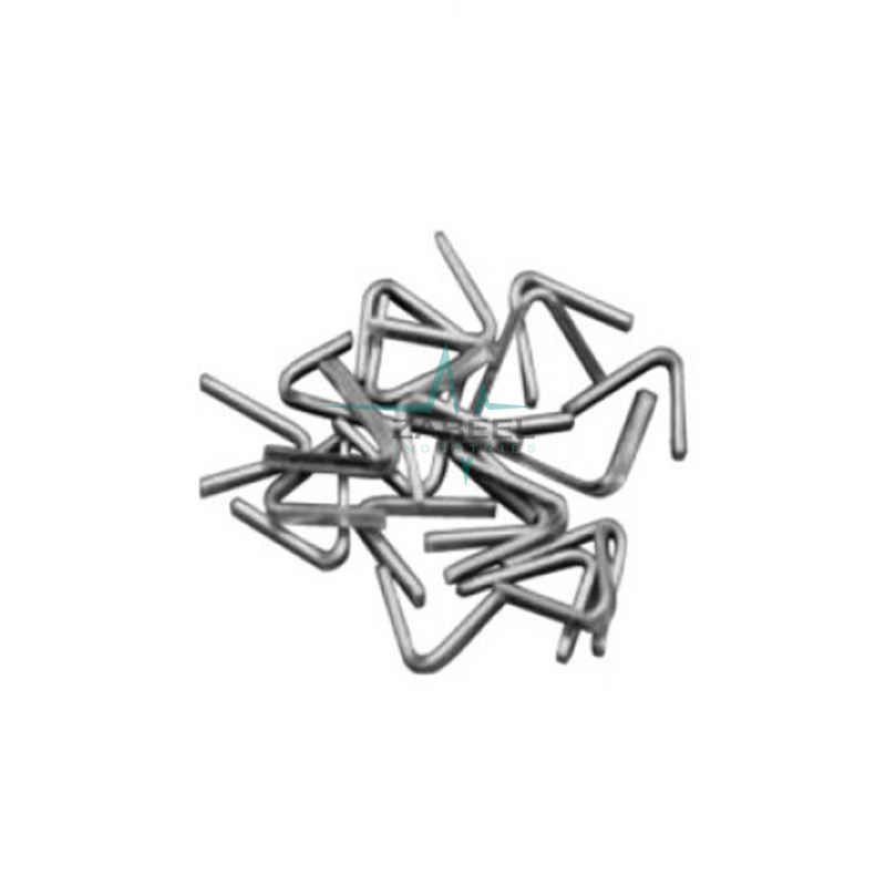 Silver Brain Clip Zabeel