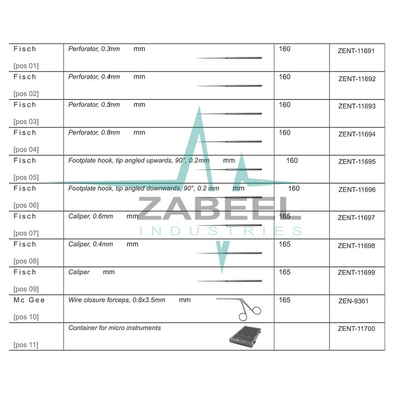 Stapes Set Tympanoplasty And Stapes Zabeel