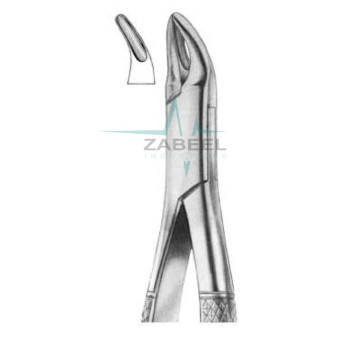 Universal Forceps For Premolars Zabeel
