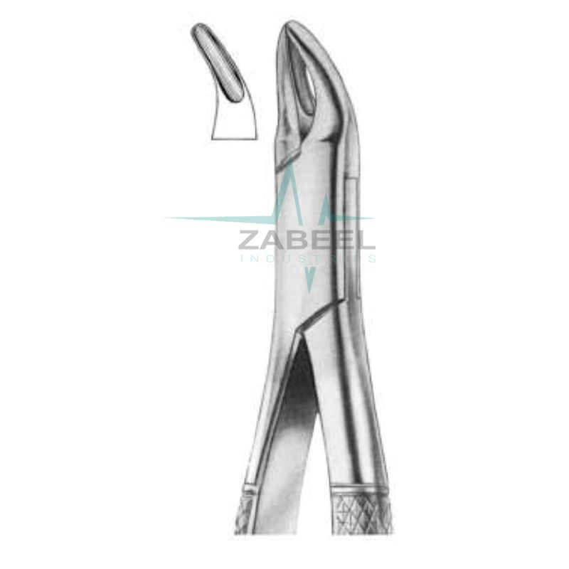 Universal Forceps For Premolars Zabeel