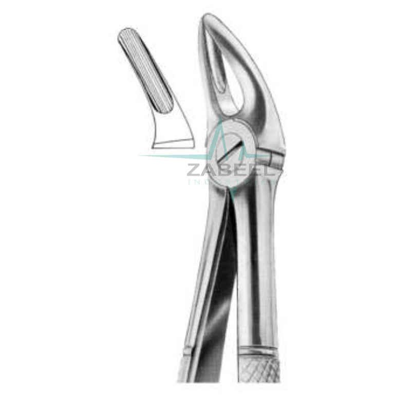 Upper Centrals & Roots Zabeel