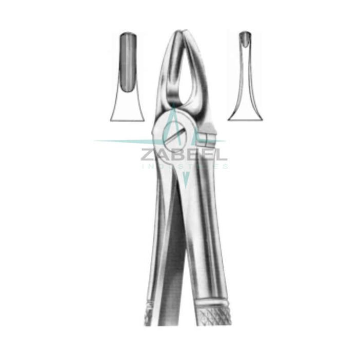 Upper Incisors & Canines Forceps Zabeel