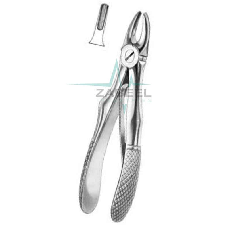 Upper Incisors & Canines Zabeel