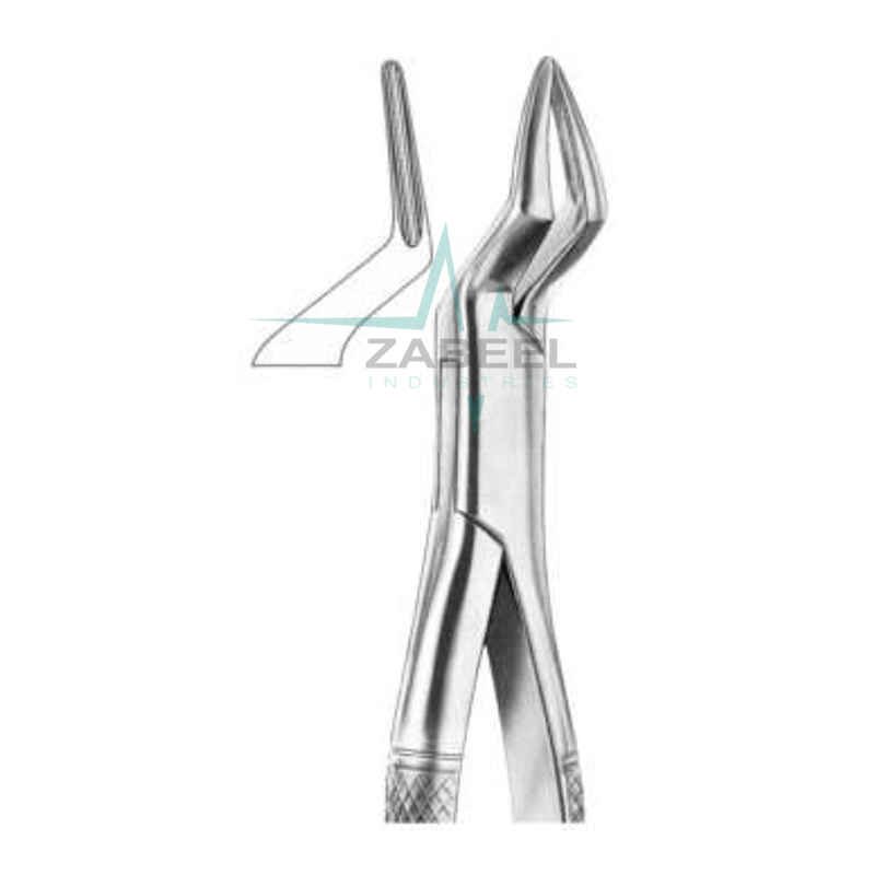Upper Incisors & Roots Forceps Zabeel