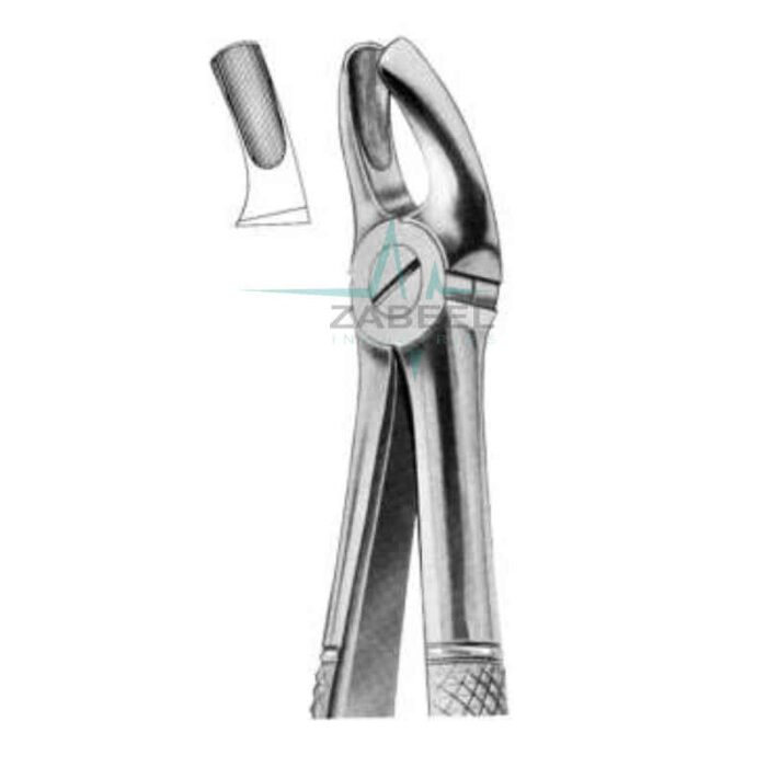 Upper Molars Forceps Fig.MD 2 Zabeel