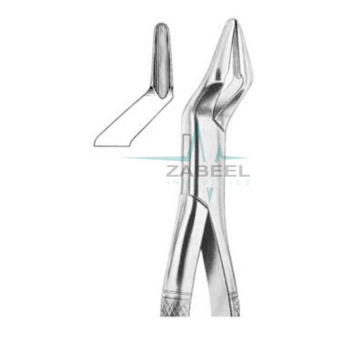 Upper Molars & Premolarsstrong Beak Forceps Zabeel