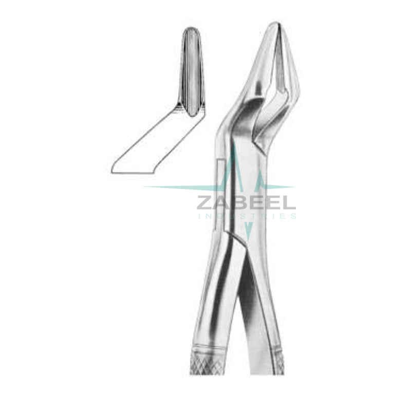 Upper Molars & Premolarsstrong Beak Forceps Zabeel