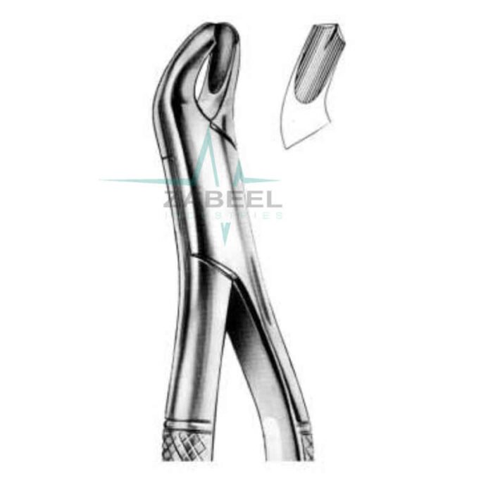 Upper Molars Right Side Forceps (American Pattern) Zabeel