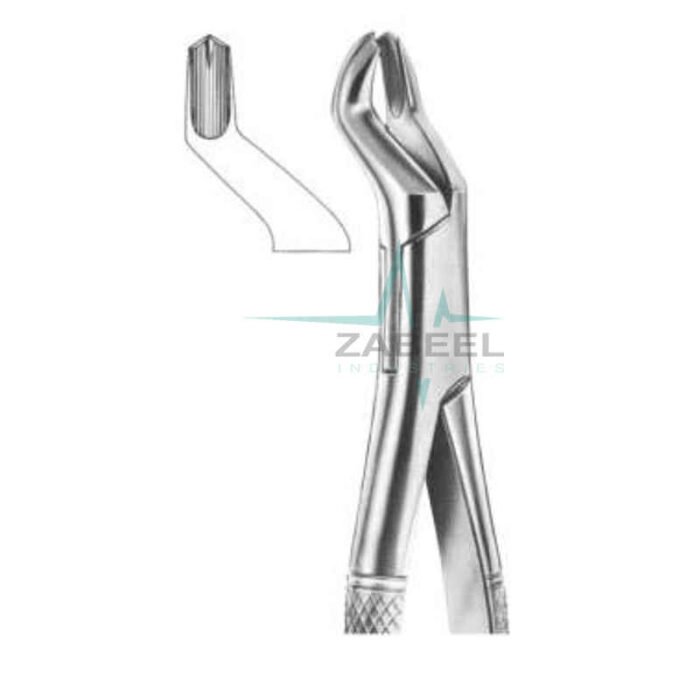 Upper Molars Right Side Forceps Fig.53 R Zabeel