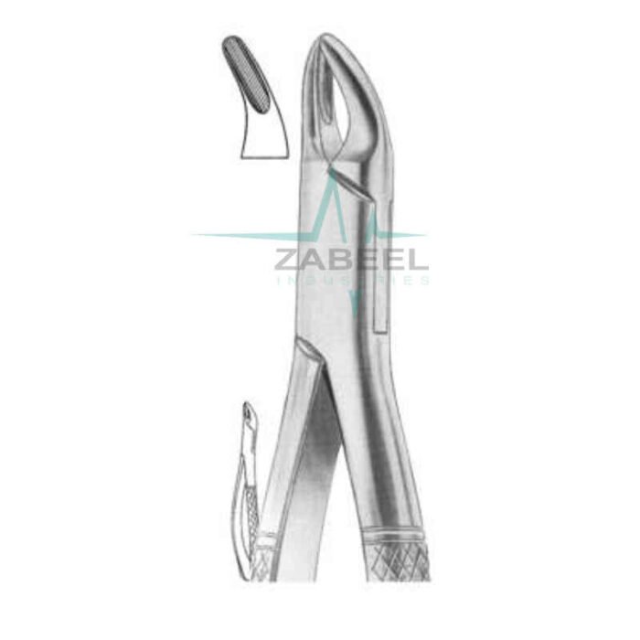 Upper-Premolars-Incisors-Roots-Fig.150.jpg Upper Premolars