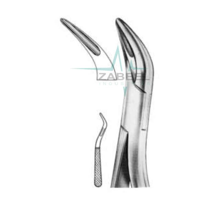 Upper Root Elevators Zabeel