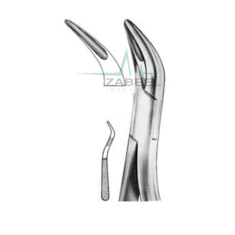 Upper Root Elevators Zabeel