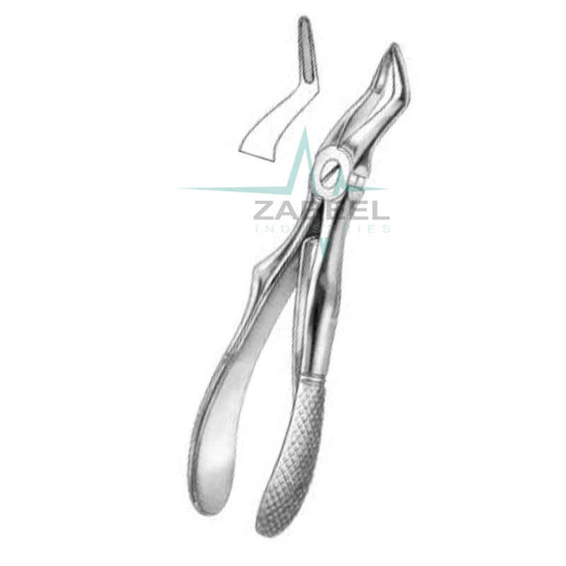 Upper Roots Forceps Zabeel