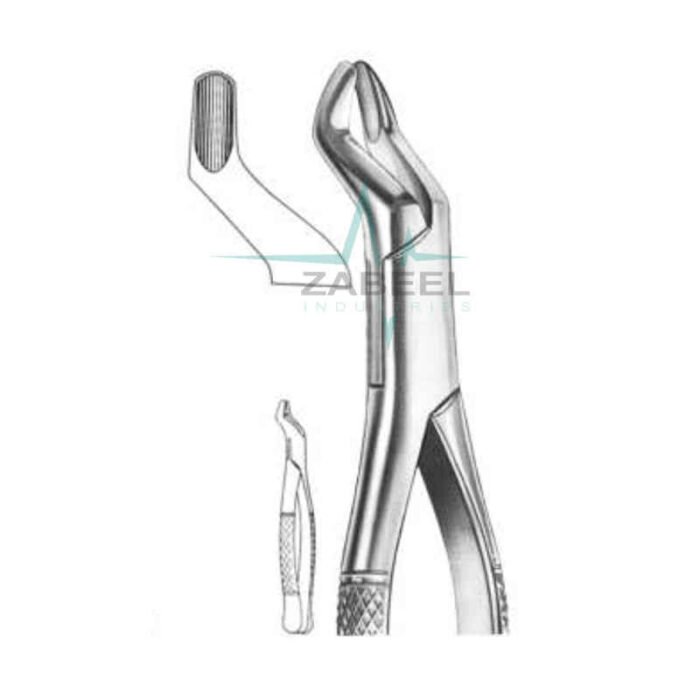 Upper Roots Forceps Zabeel