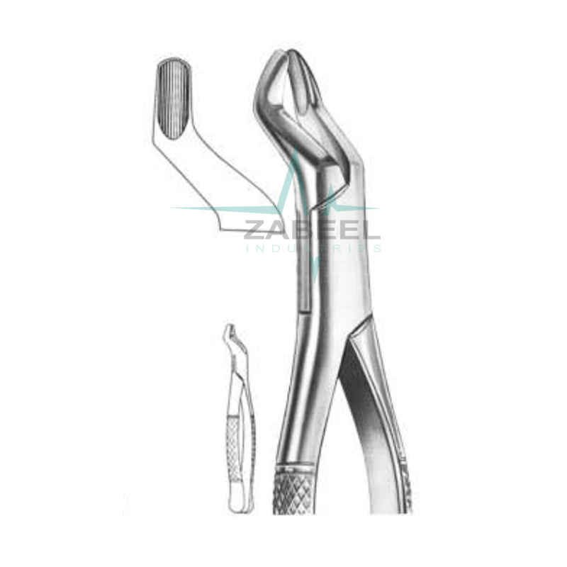 Upper Roots Forceps Zabeel