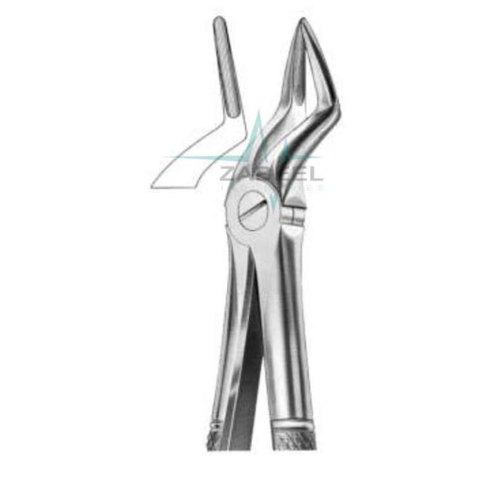 Upper Roots Nerrow Beak Zabeel