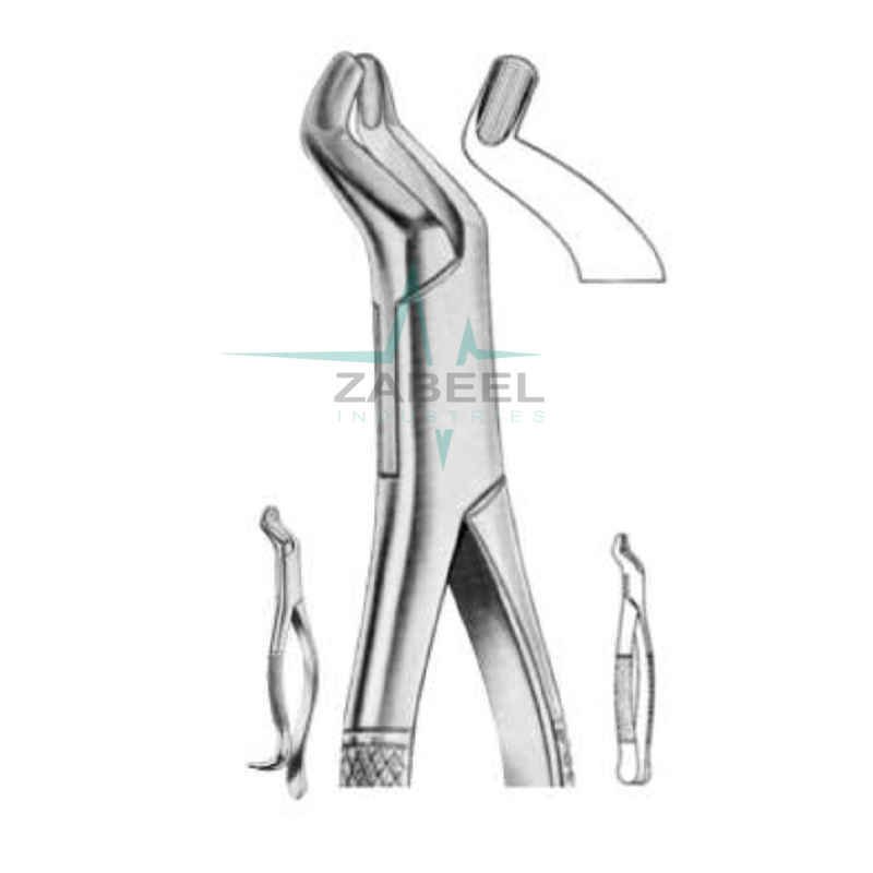 Upper Wisdoms With Hook Handle Zabeel