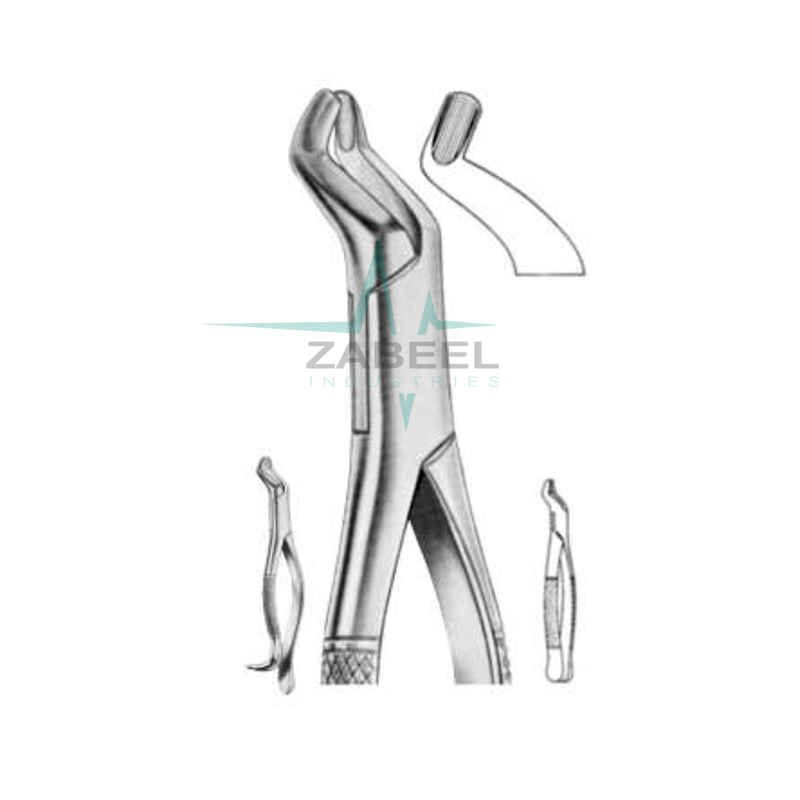 Upper Wisdoms With Straight Handle Zabeel