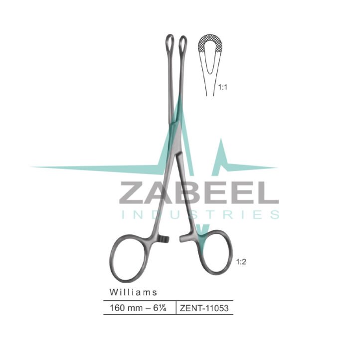 Williams Intestinal Holding Forceps Zabeel