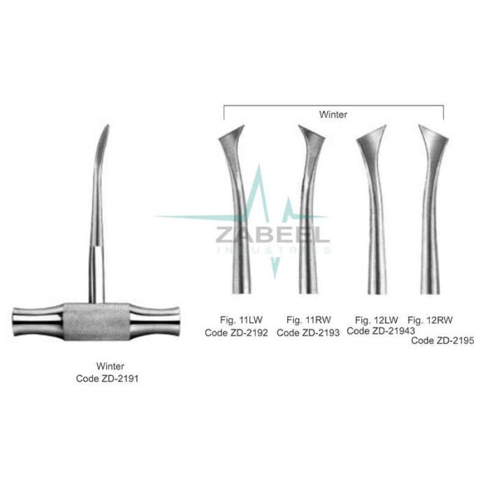 Winter Root Elevators Zabeel