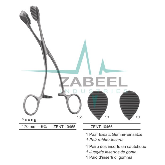 Young Tongue Holding Forceps Zabeel