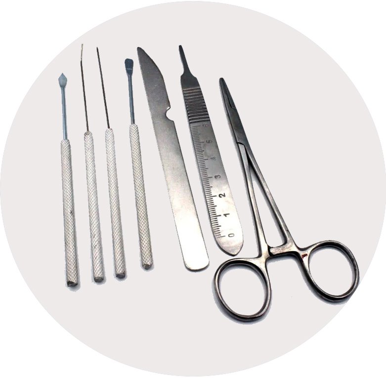 Single Use Instruments